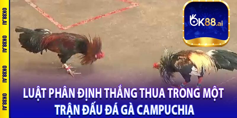 Luật phân định thắng thua trong một trận đấu đá gà Campuchia